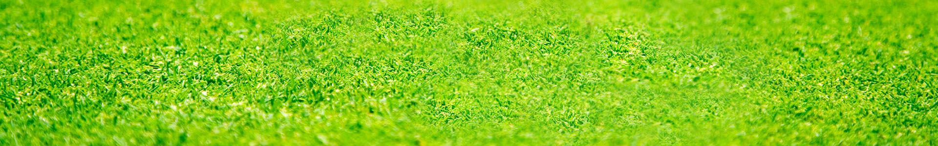 餐飲油煙環(huán)境監(jiān)測(cè)專(zhuān)題