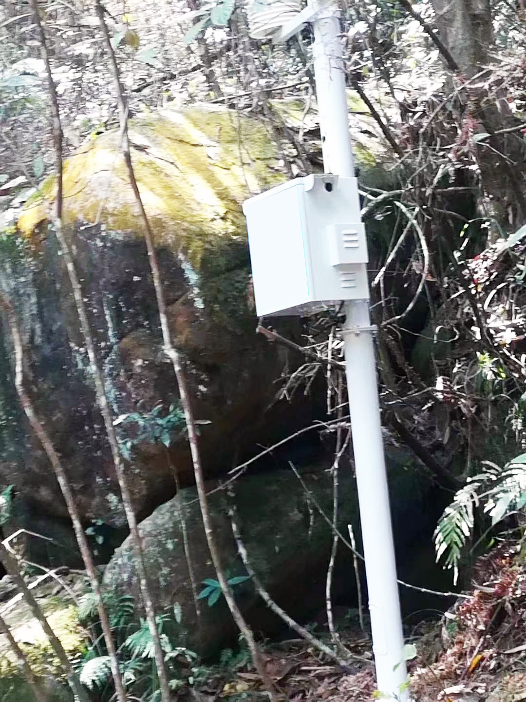 景區(qū)環(huán)境監(jiān)測站負氧離子遠程監(jiān)測系統(tǒng)設(shè)備