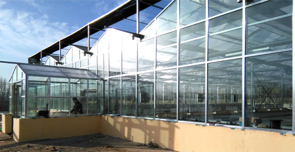 【智慧農業物聯網百科】農業物聯網技術在畜禽養殖方面的應用 【智慧農業物聯網百科】農業物聯網技術在畜禽養殖方面的應用