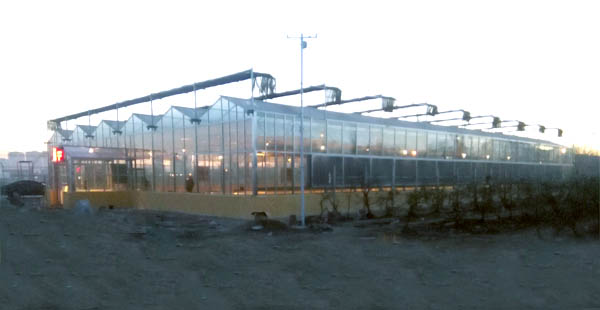 【智慧農業物聯網百科】農業物聯網技術在畜禽養殖方面的應用 【智慧農業物聯網百科】農業物聯網技術在畜禽養殖方面的應用