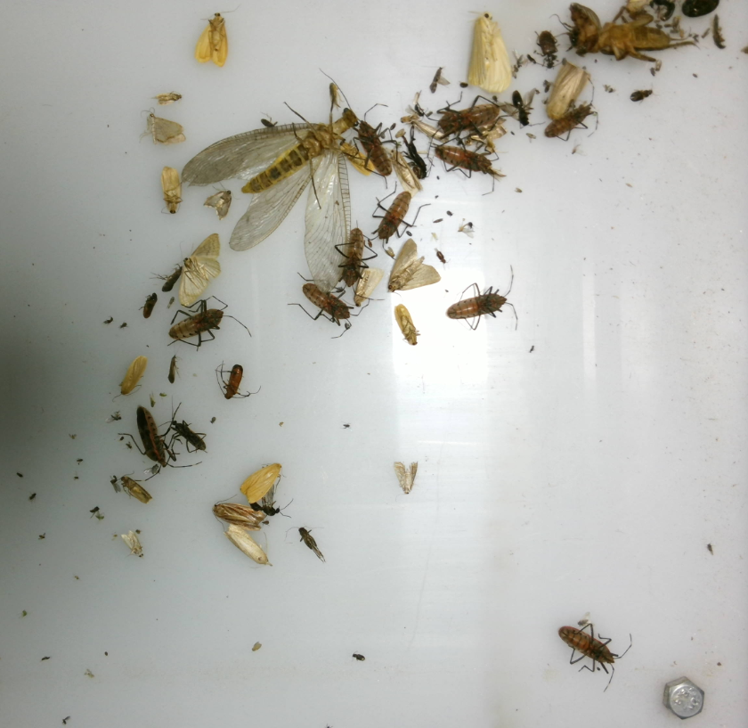 田間環境監測系統設備 農田蟲情監測系統 無線墑情監測站