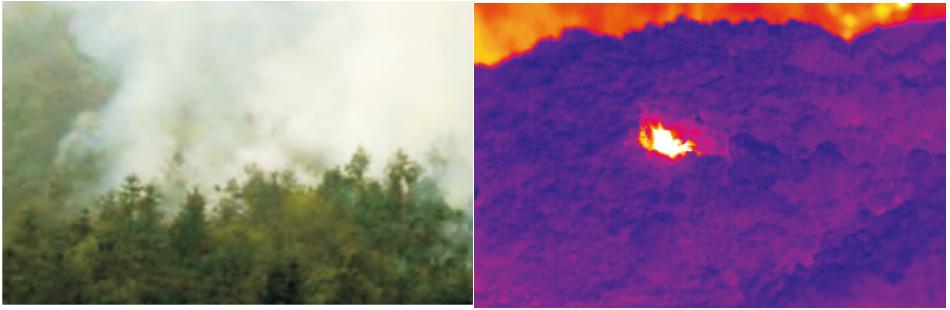 森林火險(xiǎn)預(yù)警系統(tǒng)產(chǎn)品方案